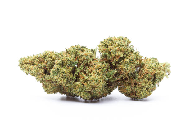 Blue Dream