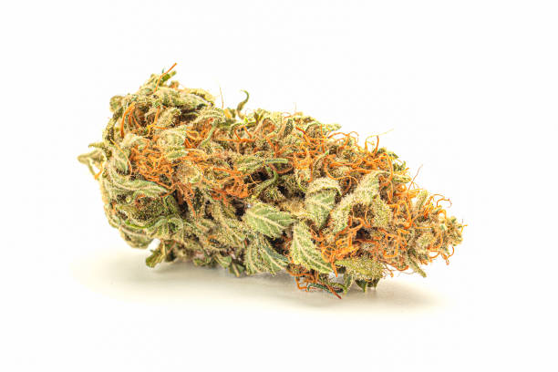 Green Crack