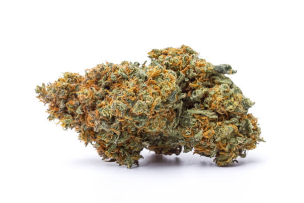 Girl Scout Cookies