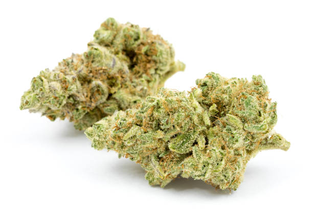 OG Kush