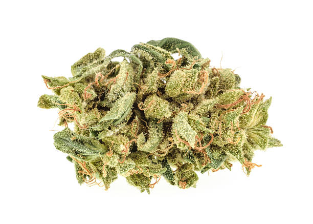 Pineapple Express