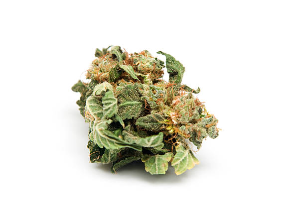 Northern Lights